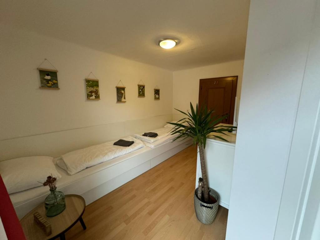 Go For Mountains Appartements Eben Im Pongau Bagian luar foto